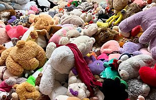 БОЛЬШОЙ МИШКОПАД В МОГИЛЕВЕ пройдет 18 декабря