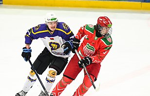 Итоги заключительных игр "Днепровских львов"