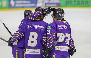 В НОВЫЙ ГОД С ПОБЕДОЙ